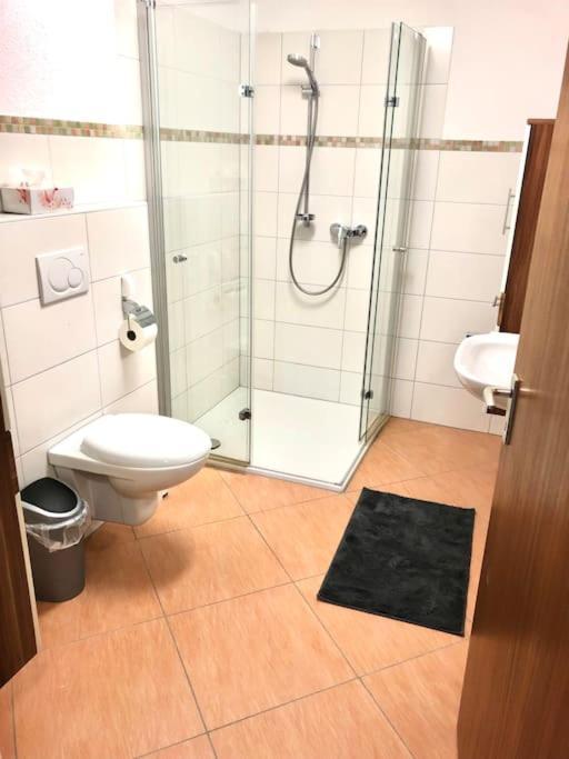 Schoene Ferienwohnung Direkt Am Neckar Deißlingen المظهر الخارجي الصورة